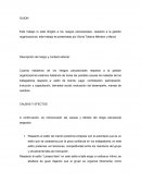 Guion riesgos Psicosociales