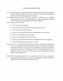 Ensayo protección civil