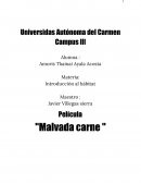Película "Malvada carne "
