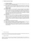 Tendencias empresariales de Google