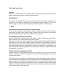 Portal y App Pavimentacion