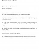 SISTEMA DE GESTION ISO9001