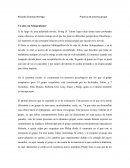 Un año con Schopenhauer