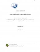 Cálculo de micrografías atreves de muestras vegetales vistas en el microscopio óptico