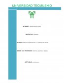 MODELO DE NEGOCIOS Y LA CADENA DE VALOR