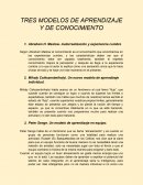 Modelos de Aprendizaje y Conocimiento