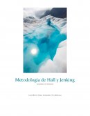 Metodología de Hall y Jenking