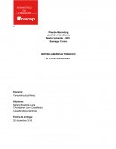 Plan de marketing chile tabacco