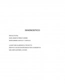 DIAGNOSTICO INSTITUTO DE EDUCACIÓN BÁSICA POR COOPERATIVA