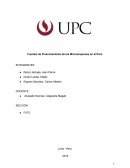 Fuentes de Financiamiento de las Microempresas en el Perú