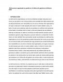 Delincuencia organizada en puebla en el último año gobierno de Moreno Valle
