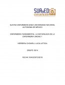 Actividad integradora enfermeria fundamental