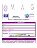 PROPUESTA DE MANUAL DE FUNCIONES Y COMPETENCIAS PARA LA PYME 2: MAG