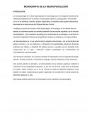 MONOGRAFIA DE LA NEUROPSICOLOGÍA