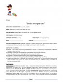 Secuencia didáctica “Dados muy grandes”