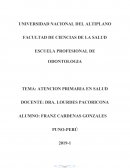 CARACTERÍSTICAS DE LA ATENCIÓN PRIMARIA EN SALUD