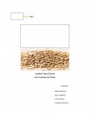 Análisis Caso Quinua. Las 5 fuerzas de Porter