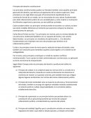 Principios del derecho constitucional