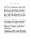 Otras terapias en psiquiatria