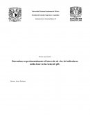 Práctica laboratorio pH