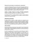 Derivadas para la economia