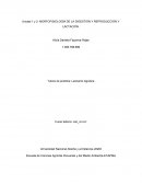 MORFOFISIOLOGÍA DE LA DIGESTIÓN Y REPRODUCCIÓN Y LACTACIÓN