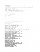 Fisica. MAGNITUDES FISICAS Y SU MEDICION