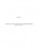 PROYECTO: LOGÍSTICA Y ALMACENAMIENTO DE LA EMPRESA FERRETERA ZimAceros S.A. de C.V