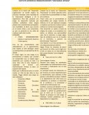 Cuadro comparativo de Piaget , Freud y Erikson