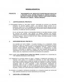 Mejoramiento del servicio de transitabilidad vehicular y peatonal en el centro poblado el puente Huacapuy