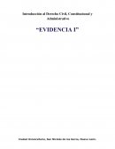 Introducción al Derecho Civil, Constitucional y Administrativo “EVIDENCIA I”