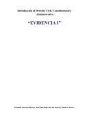 Introducción al Derecho Civil, Constitucional y Administrativo “EVIDENCIA I”