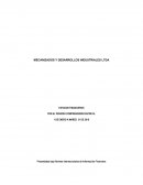 MECANIZADOS Y DESARROLLOS INDUSTRIALES LTDA