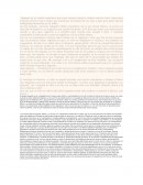 La patagonia rebelde