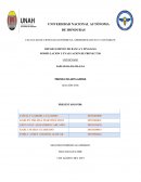 Metodos y finanzas. Creación de una AFP para Banco Lafise