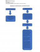 Organigramas. El analisis de puestos y la descripción de puestos