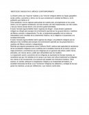 MESTIZOS E INDIOS EN EL MÉXICO CONTEMPORÁNEO