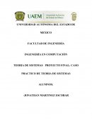 TEORIA DE SISTEMAS PROYECTO FINAL: CASO PRACTICO DE TEORIA DE SISTEMAS