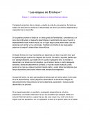 Las etapas de Erickson
