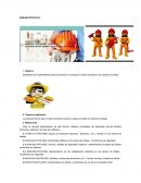 CASOS PRACTICOS DE NORMAS DE SEGURIDAD