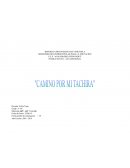 Camino por mi Tachira