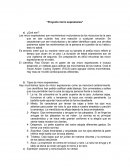 Proyecto micro expresiones