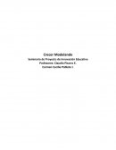 Seminario de Proyecto de Innovación Educativa. Programa de Formación Pedagógica