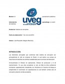 El pensamiento sistémico. Actividad de aprendizaje: La visión de sistemas de corrupción