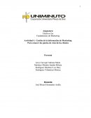 Actividad 4. Gestión de la información de Marketing