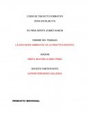 LA EDUCACION AMBIENTAL EN LA PRACTICA DOCENTE