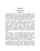 Diagnostico de grupo