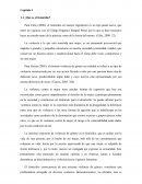 ¿Qué es el femicidio?