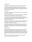 La plataforma my VITALBOX