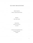 Análisis experiencia del duelo